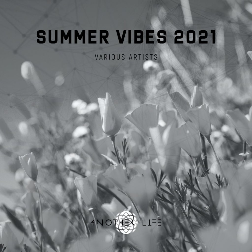 VA - Summer Vibes 2021 [ALMVA062021]